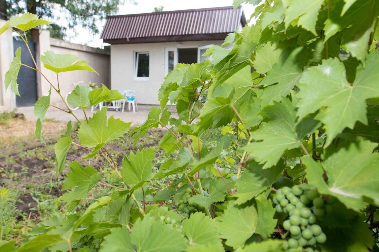 Ekonom-Domik Hotel Odessa Eksteriør billede