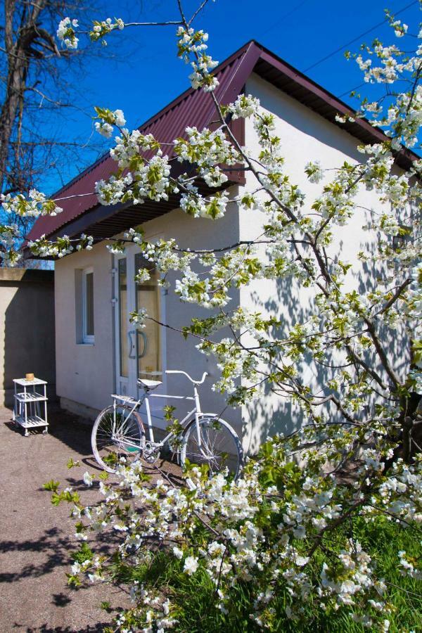Ekonom-Domik Hotel Odessa Eksteriør billede