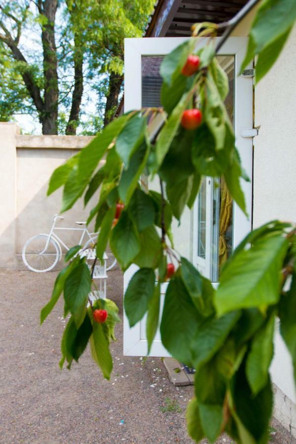 Ekonom-Domik Hotel Odessa Eksteriør billede